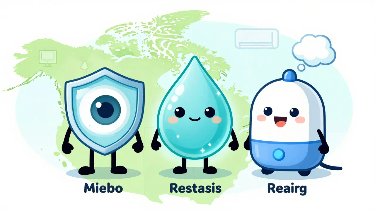 Three treatment characters—Miebo, Restasis, and a humidifier—working together to protect an eye.