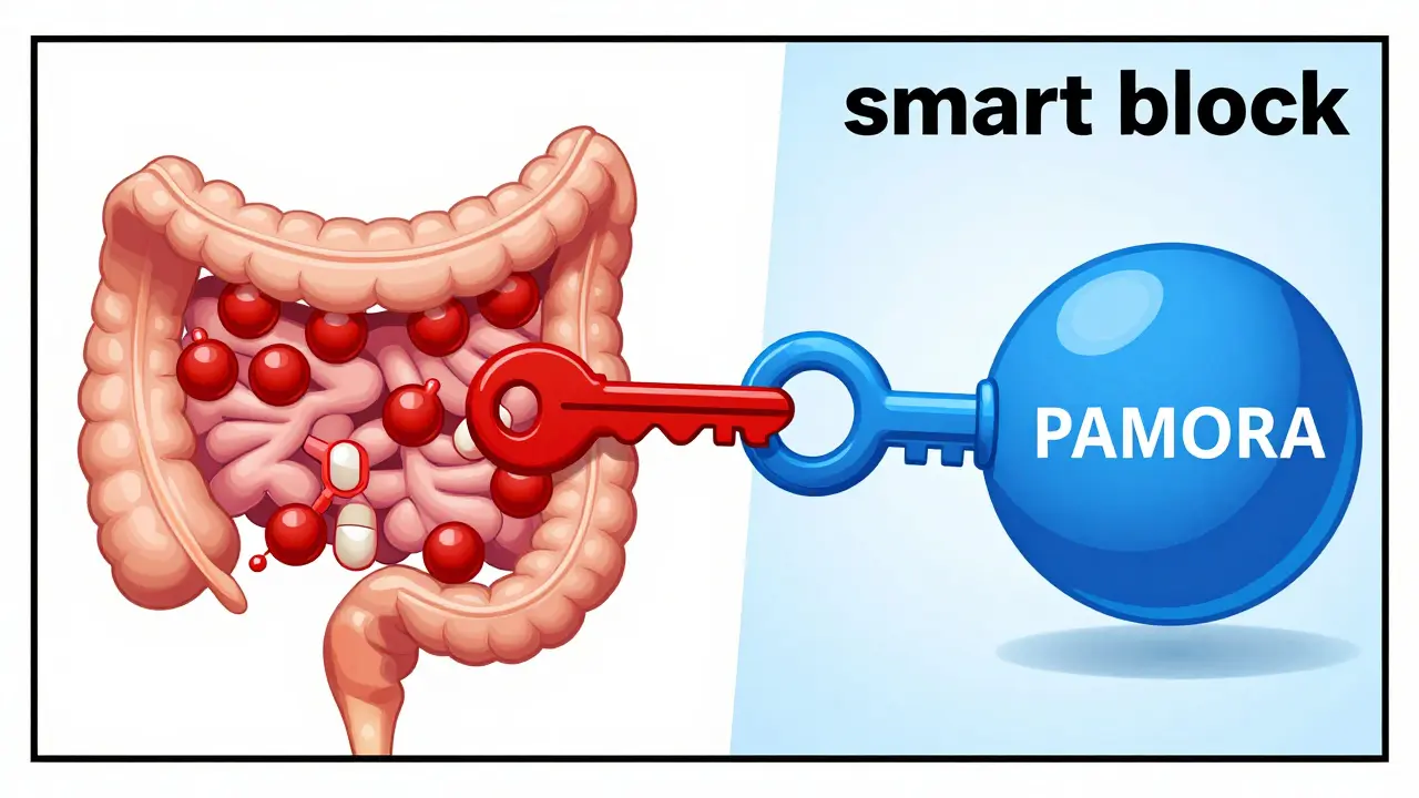 Illustration showing a blue molecule unlocking a gut receptor by removing a red opioid molecule.